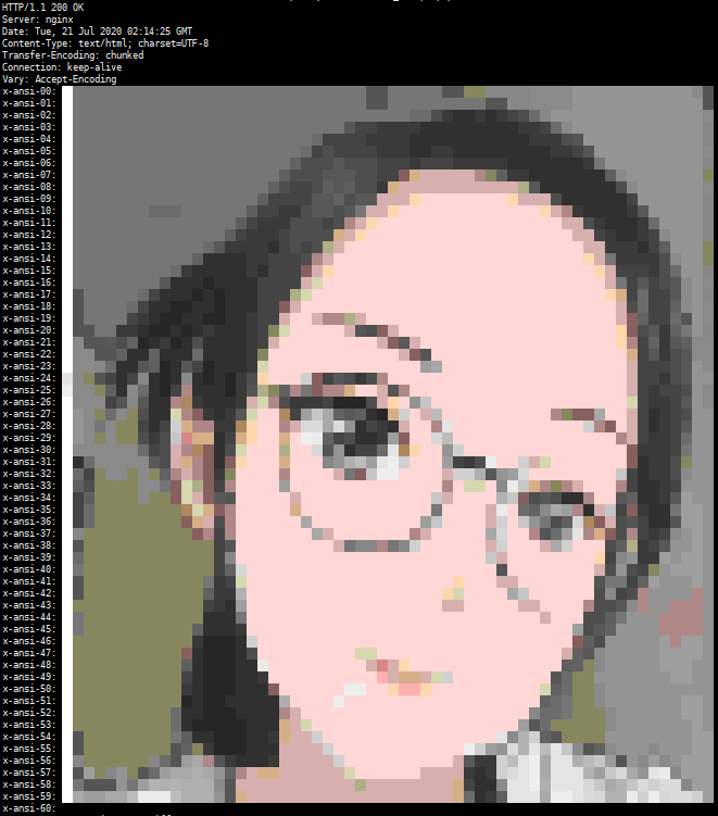 HTTP Ansi Picture